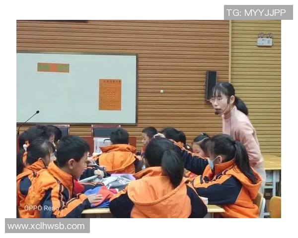 南京羽毛球队的阵地战解析与未来发展展望