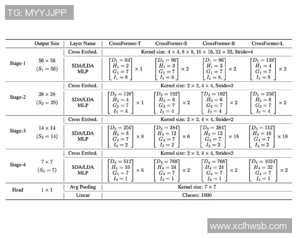 南京排球队心理素质分析与联赛表现的深度探讨