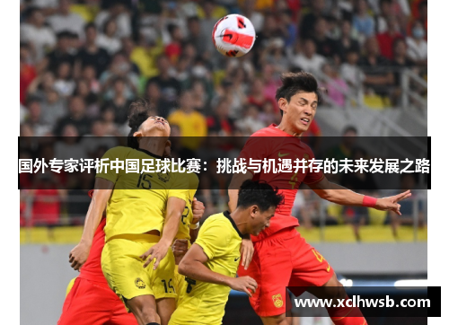 国外专家评析中国足球比赛：挑战与机遇并存的未来发展之路