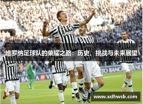 维罗纳足球队的荣耀之路：历史、挑战与未来展望